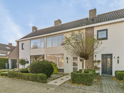  Oude Polderstraat 3, Hulst