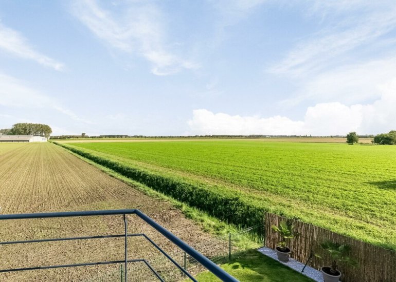  Drie Gezustersdijk 41, Vogelwaarde