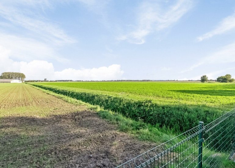  Drie Gezustersdijk 41, Vogelwaarde