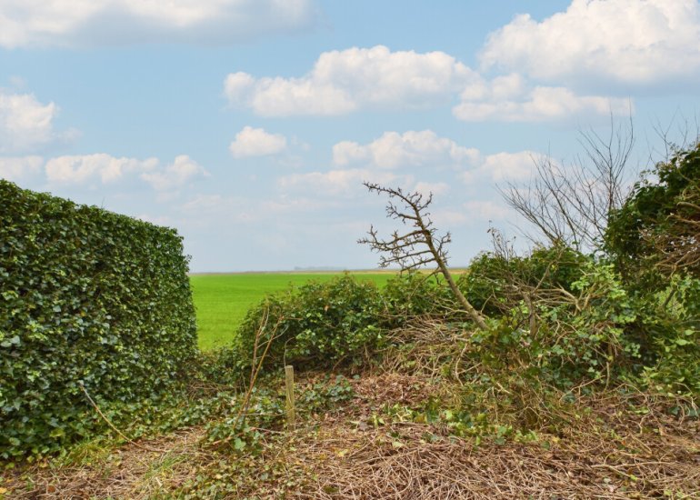  Lageweg 13, Ossenisse