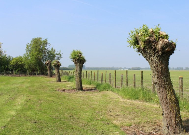  Molenweg 2, Waterlandkerkje