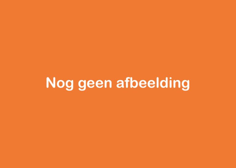  Amaliastraat 8, Sas Van Gent