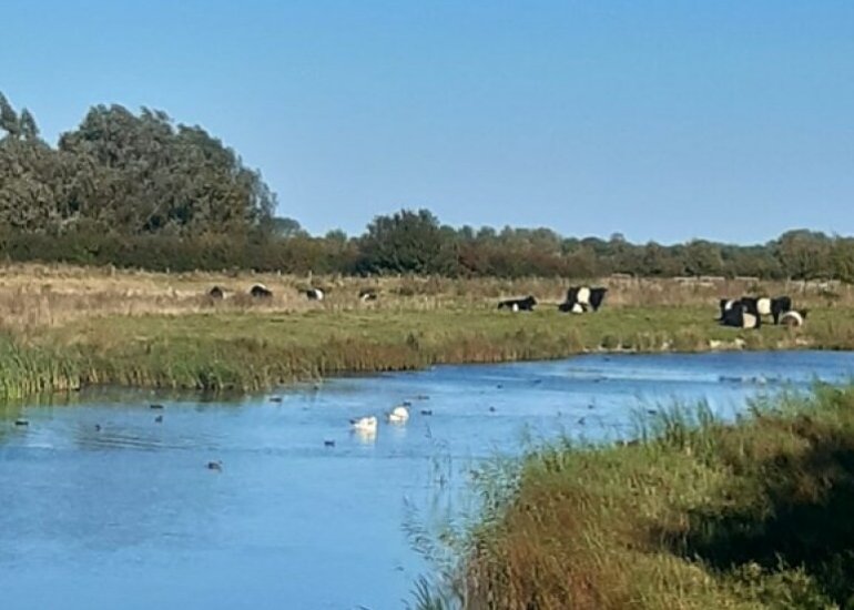  Sint Bavodijk 58, Nieuwvliet