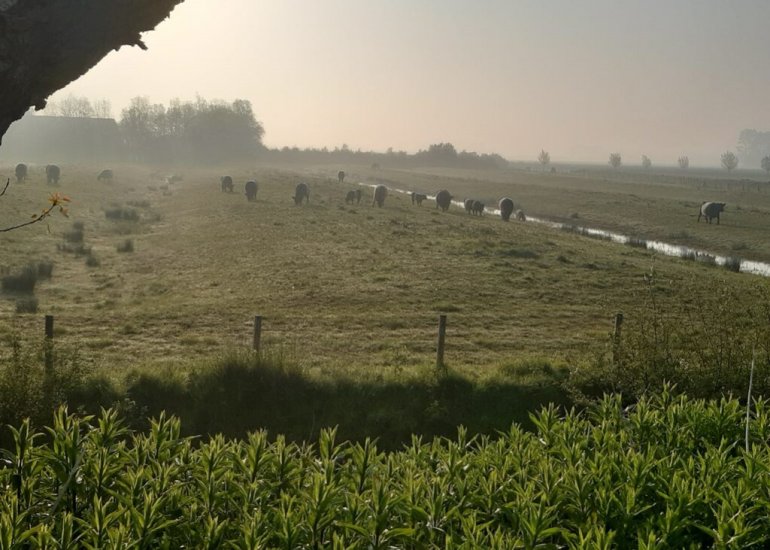  Sint Bavodijk 58, Nieuwvliet