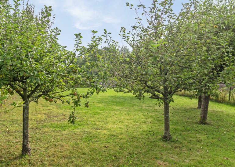  Eikenhof 7, Vogelwaarde