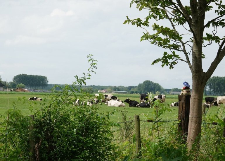  Eikenhof 7, Vogelwaarde