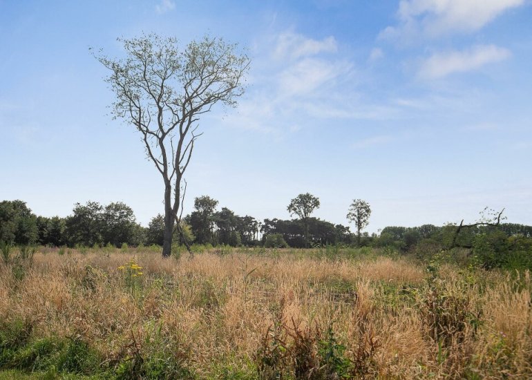  Oudepolderseweg 11, Zuiddorpe