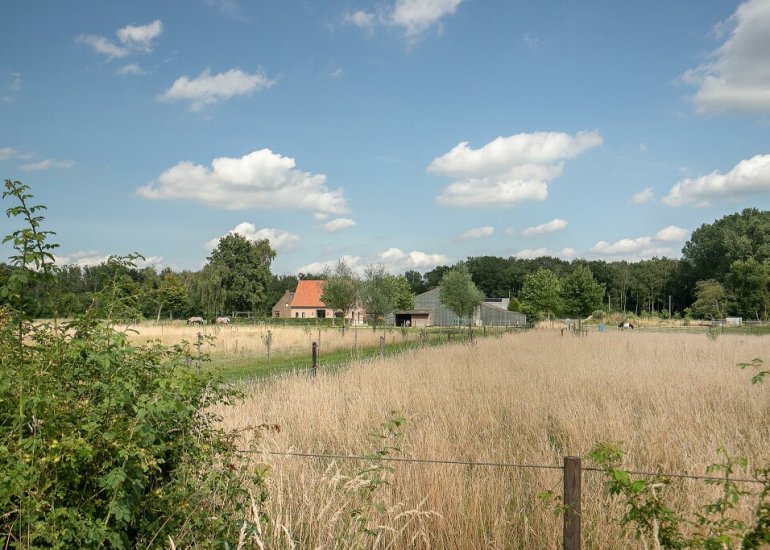  Oudepolderseweg 11, Zuiddorpe